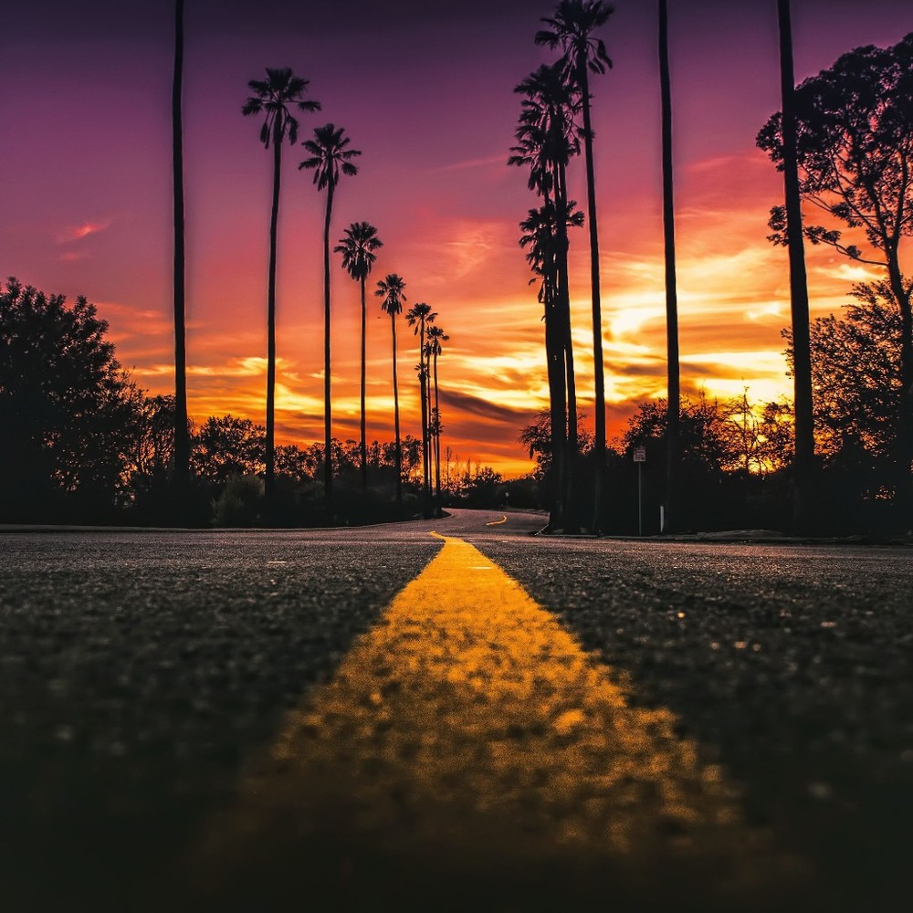 Meet your Posher, Posh